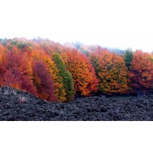 Escursioni naturalistici